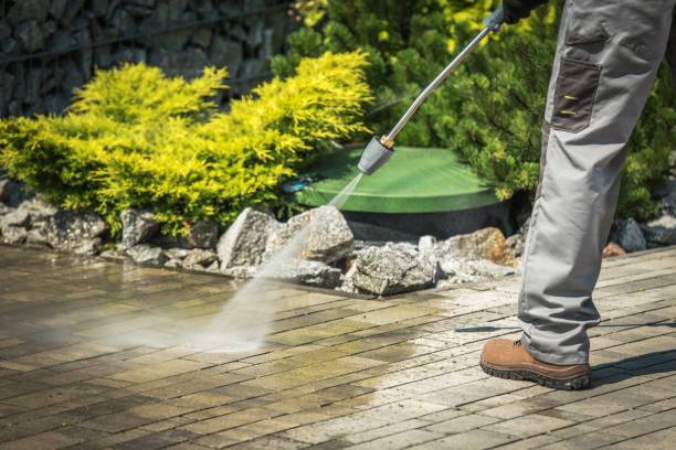 Best Rust Removal  in Orchard Hills, PA